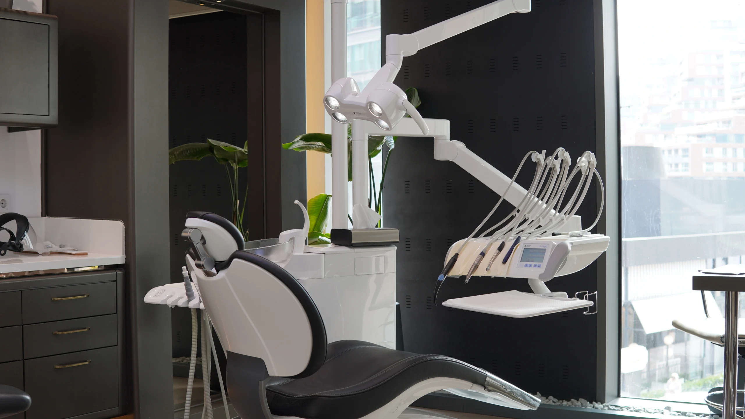 Dental Veneers